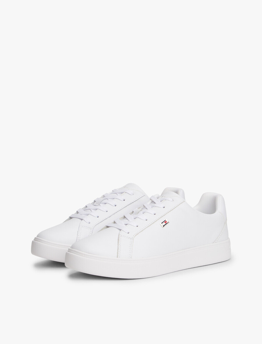 sneaker flag court