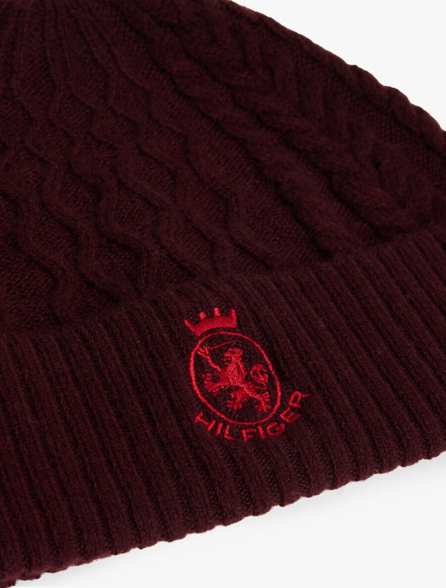berretto in maglia a trecce th crest